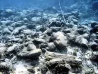 Ballast x 25%.webp