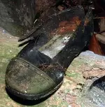 shoe.webp