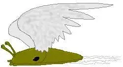 winged.webp