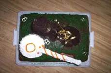 Tylers 16th bday 3.webp