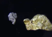 gold and.webp