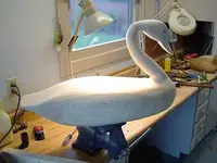 swan 005.webp