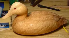 Dad\'s Ducks 21sized.webp