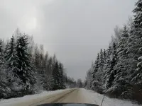the road.webp
