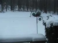DSCF7611.webp