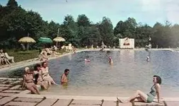 MONROE COUNTY 1950s Cresco Pennsylvania Pocono Lodge Swimming Pool.webp