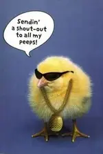 chick.webp