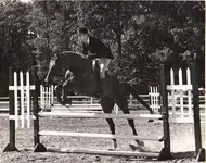 jump.webp