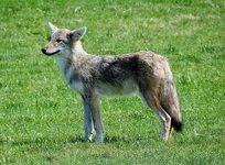 K1600_DSCN4470.webp