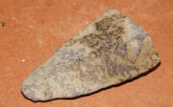 DSCN7529.webp