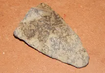 DSCN7530.webp