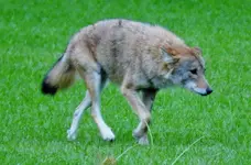K1600_DSCN4549.webp