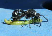 DSCN4766.webp