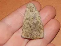 DSCN7536.webp