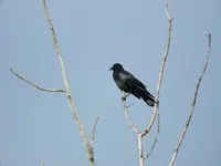K1600_DSCN4782.webp