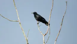 K1600_DSCN4780.webp