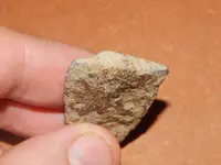 DSCN7538.webp