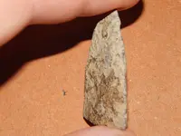 DSCN7539.webp