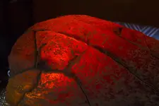 LED Light 01.webp