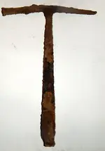 DSCN7166.webp