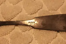 IMG_7497.webp