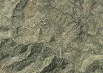 06 Turtcan.webp