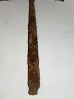 DSCN7169.webp