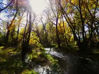 bike ride 101717 1.webp