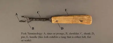 forkterms1.webp