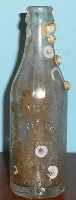 DSCN6871.webp
