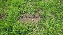 Hot Day finds 004.webp
