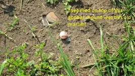 Hot Day finds 005.webp