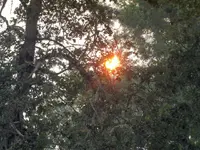 sun3A.webp