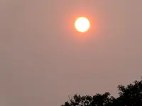 sun4A.webp