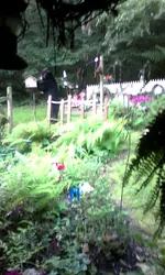 IMG_20170831_064807 (002).webp