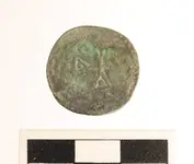coin2.webp