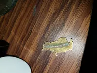 20171008_203434.webp