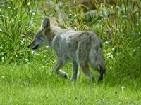 K1600_FSCN4308.webp