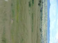 DSC04253.webp DSC04253.webp
