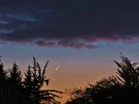 quarter moon 003.webp