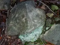 rock.webp