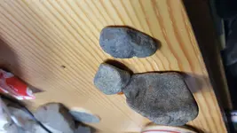 20171024_070919.webp