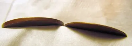 acidpenny2.webp