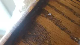 1508341976155.webp