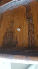 1508341946730.webp