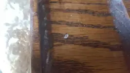 1508341966718.webp