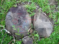 DSC01362.webp
