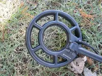 IMG_1163 (Small).webp