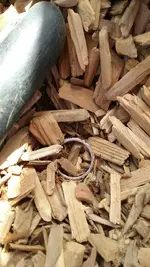 20170910_112839_resized.webp