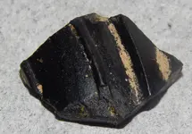 DSCN7756.webp